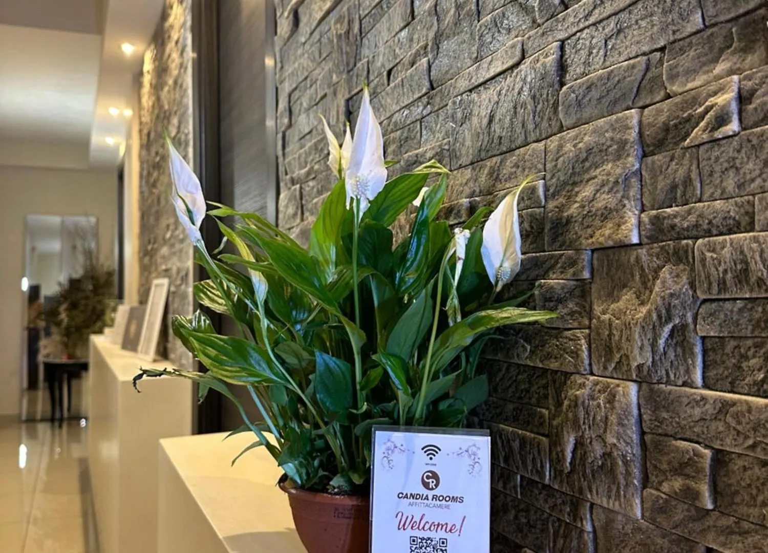 Candia Rooms Rome